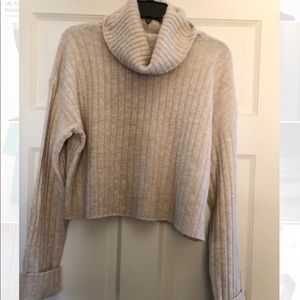 Cropped tan turtle neck